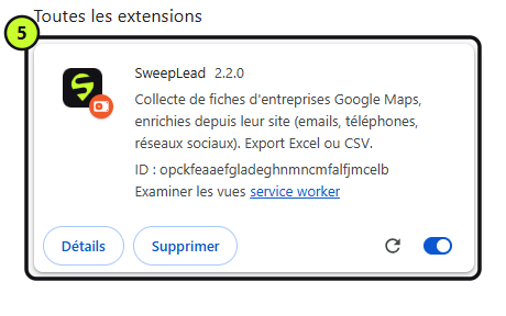 Carte de SweepLead dans la page des extensions